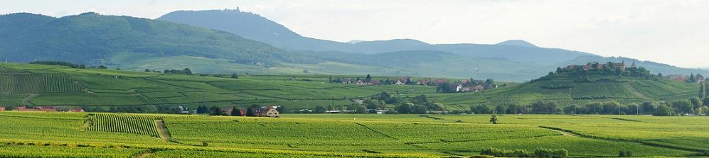 Paysage vignes et villages2